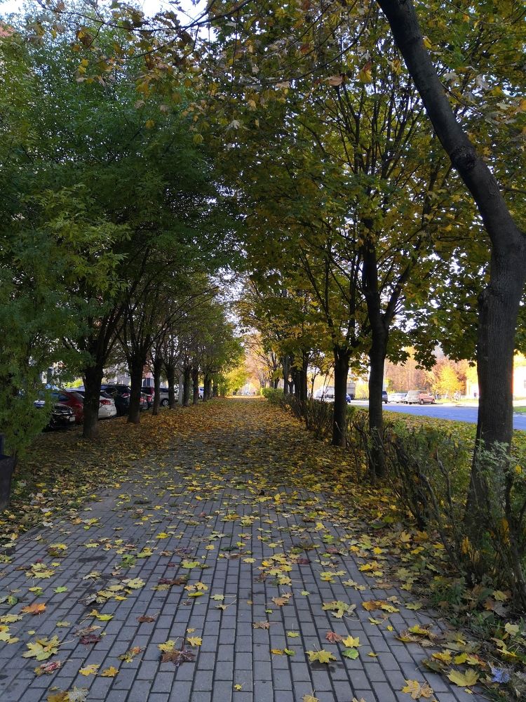 Photograph by Светлана Шуткова