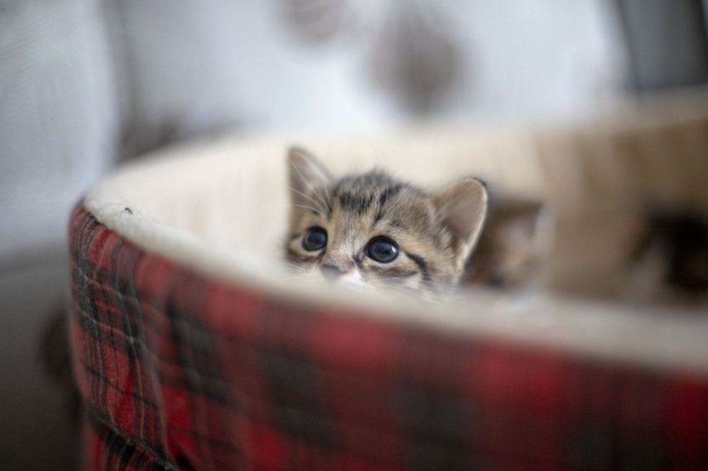 Photograph by Elena Kostochkina