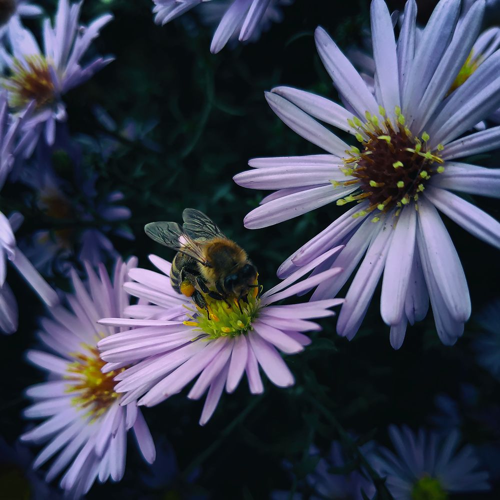 Photograph by Виталий Павлов