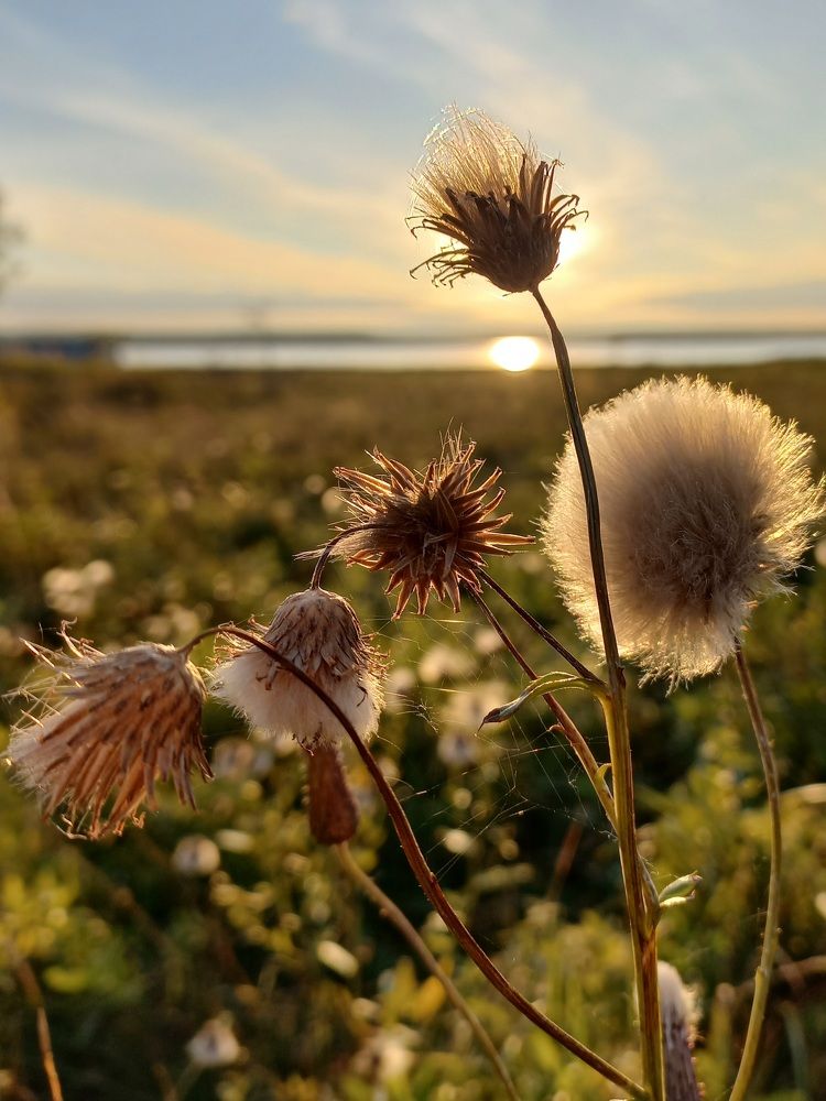 Photograph by Зоя