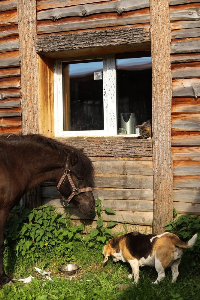 Photograph by Светлана Семакина