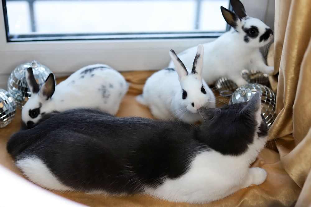 Photograph by Светлана Семакина