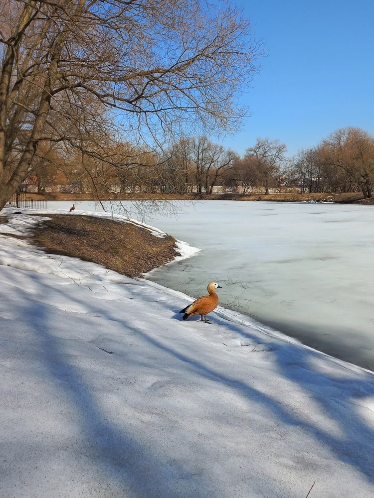 Photograph by Зоя