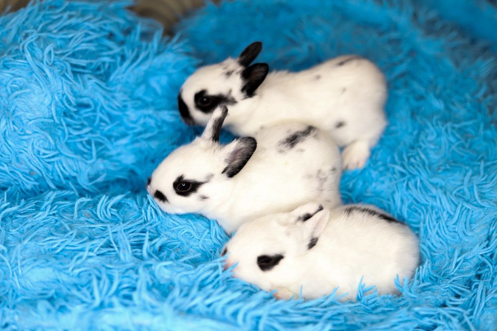 Photograph by Светлана Семакина