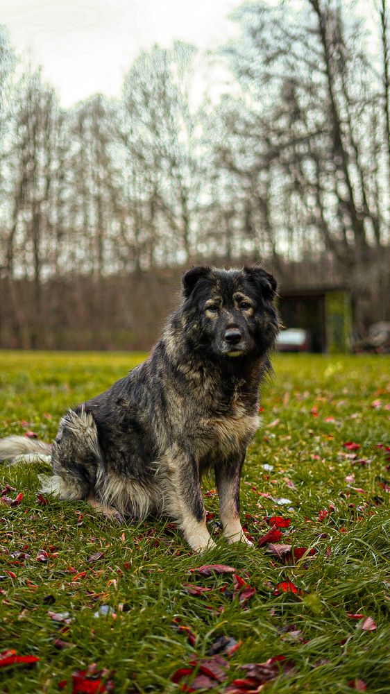 Photograph by Иван