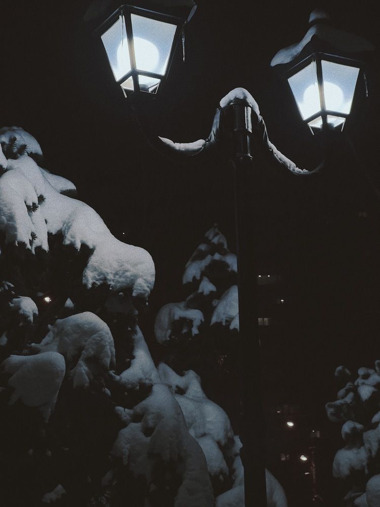 Photograph by Никита Утехин