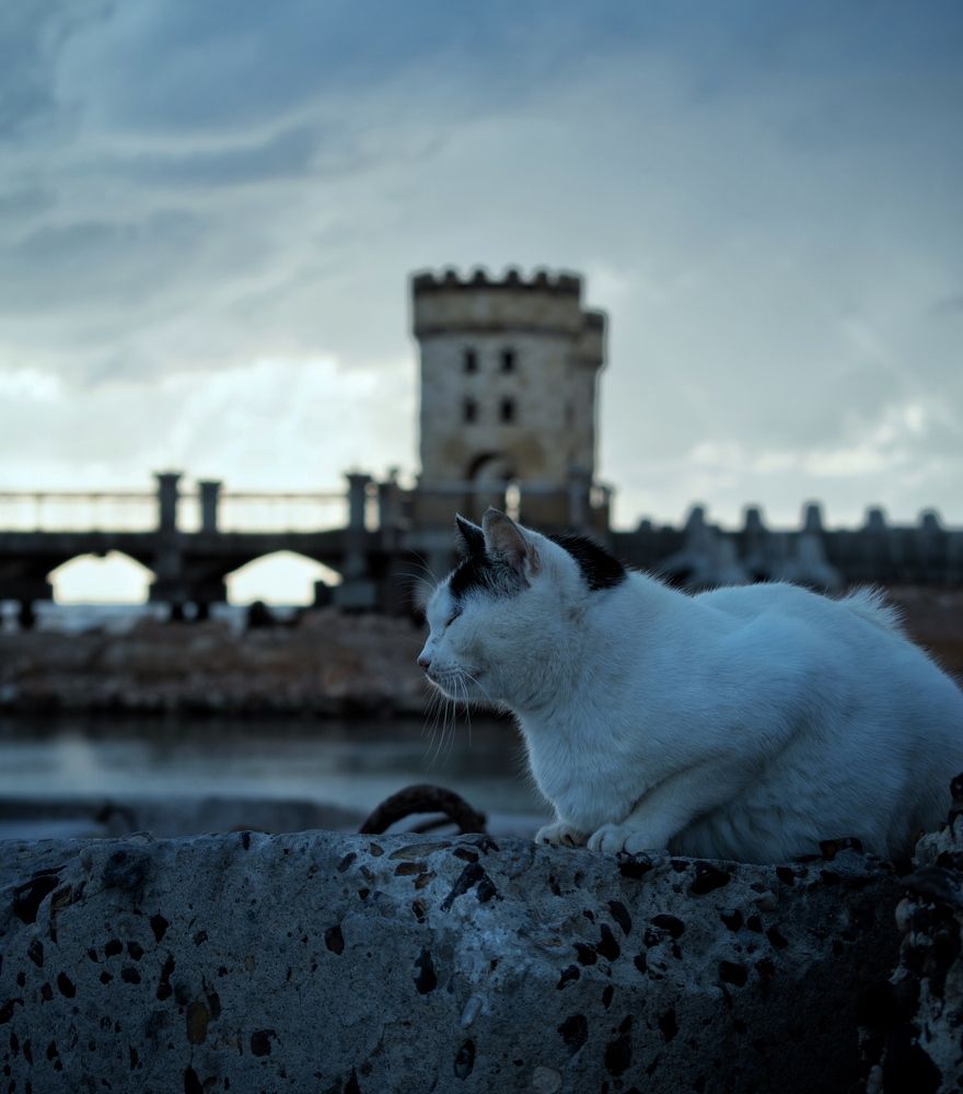 Photograph by Ahmed zaki