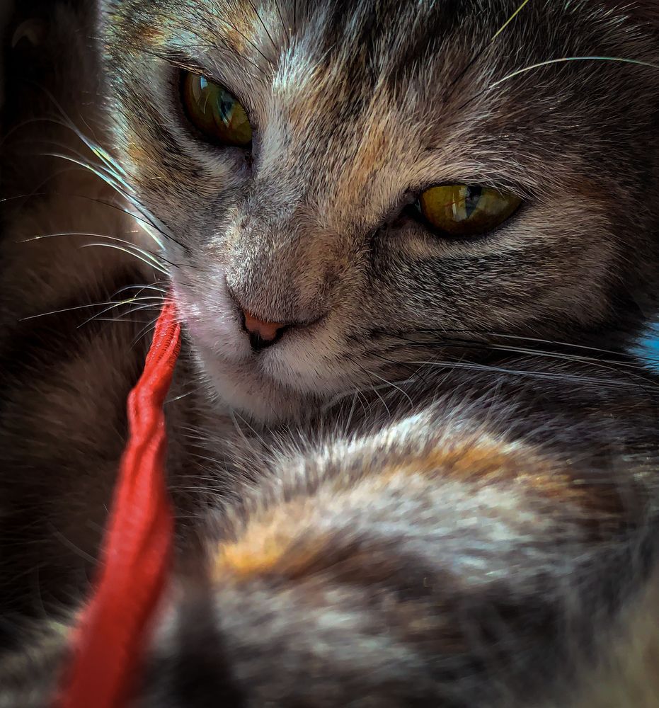 Photograph by Ahmed zaki