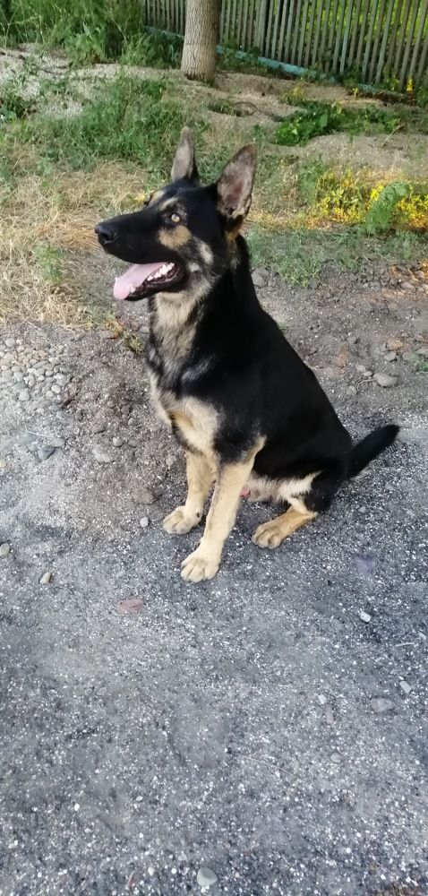 Photograph by Мила Мит