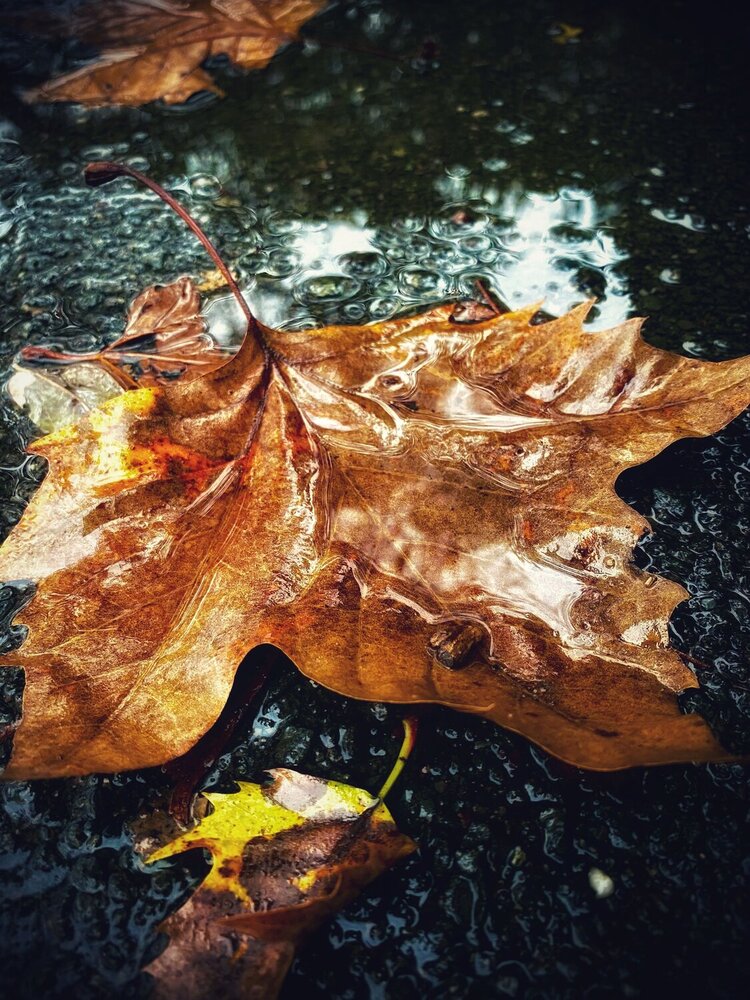 Photograph by Юлия Халяпина