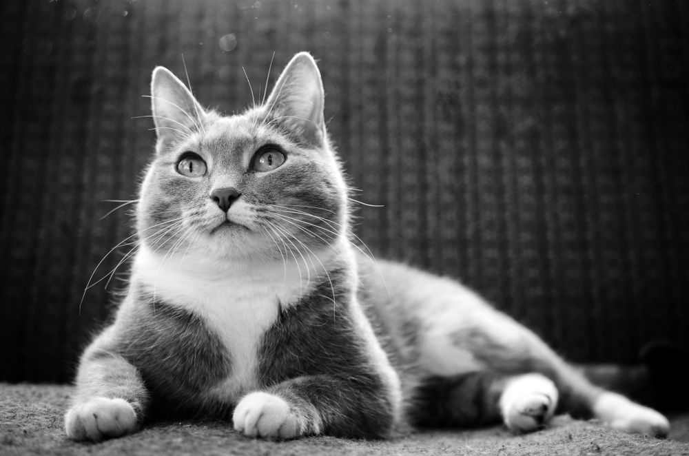 Photograph by Аряева Анна