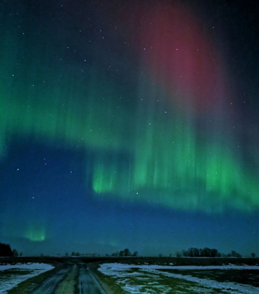 Photograph by Olga Link