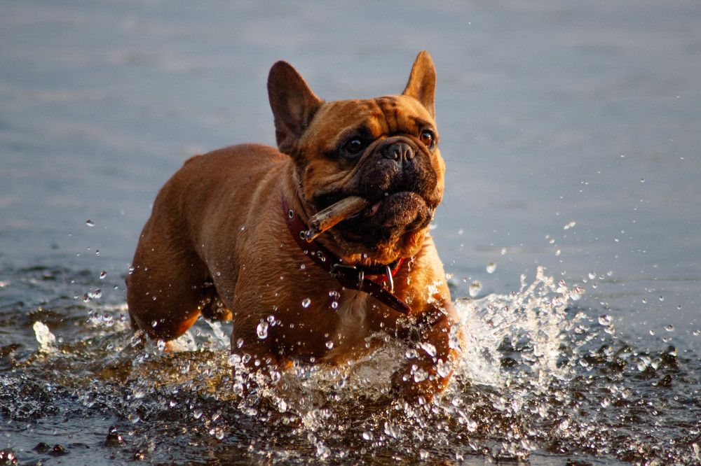 Photograph by Дима Захаров