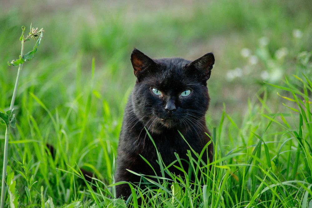 Photograph by Дима Захаров