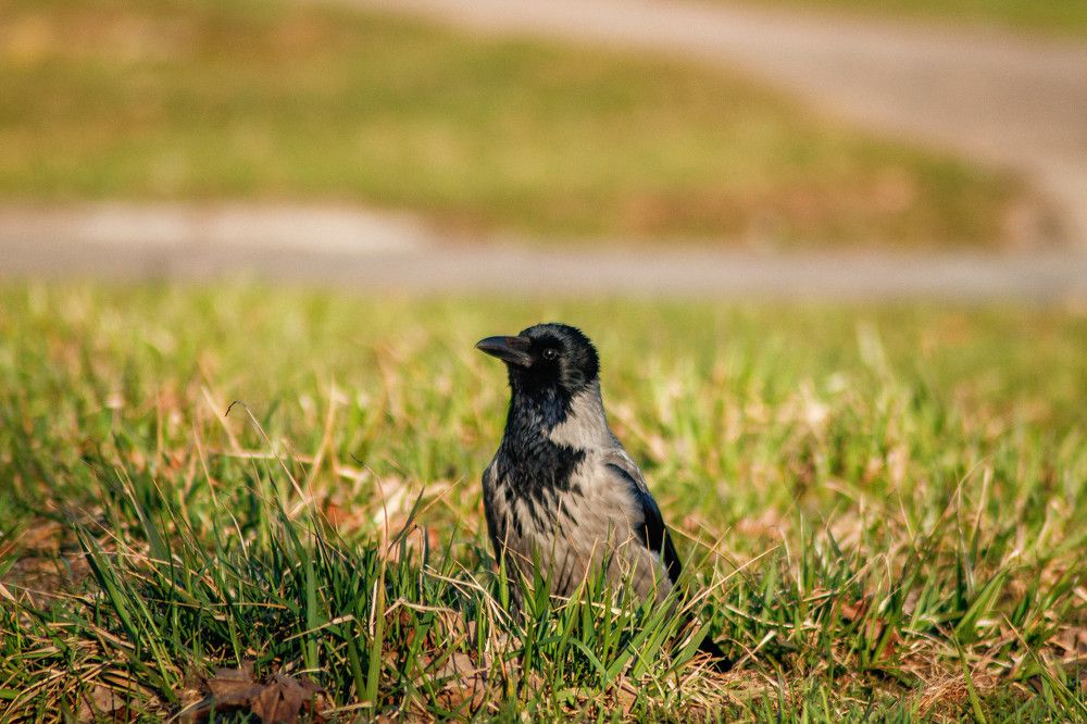 Photograph by Дима Захаров
