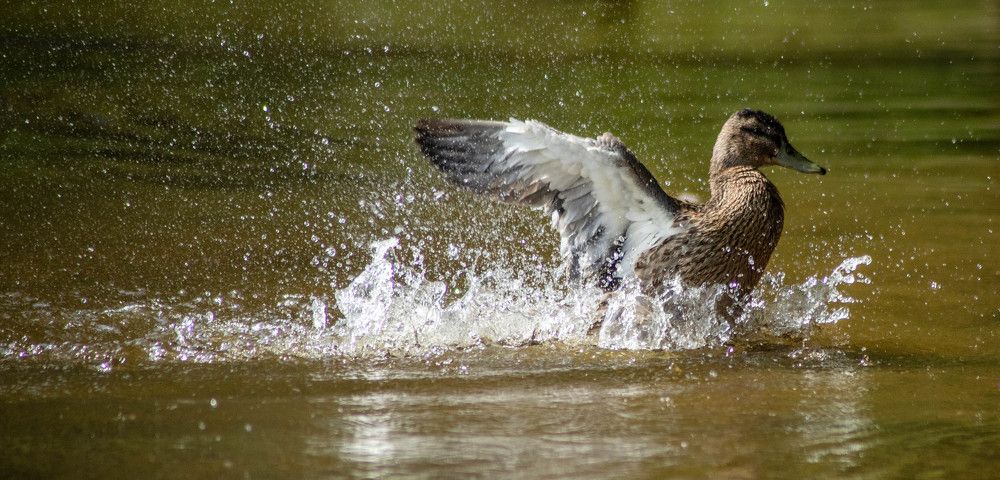 Photograph by Дима Захаров