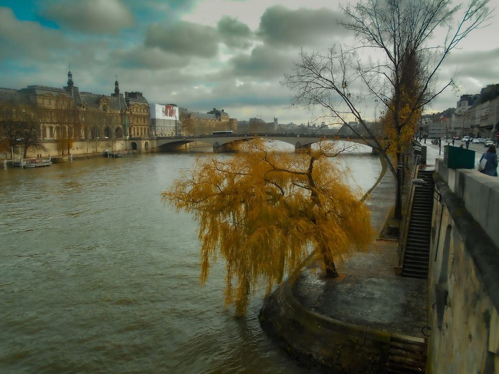 La Seine á Paris