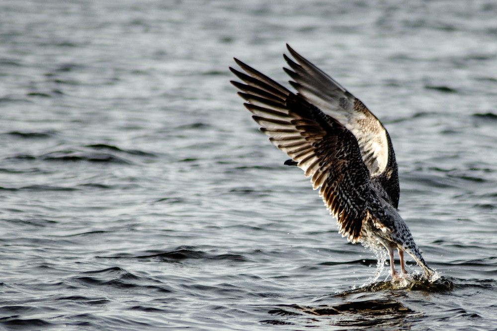 Photograph by Дима Захаров