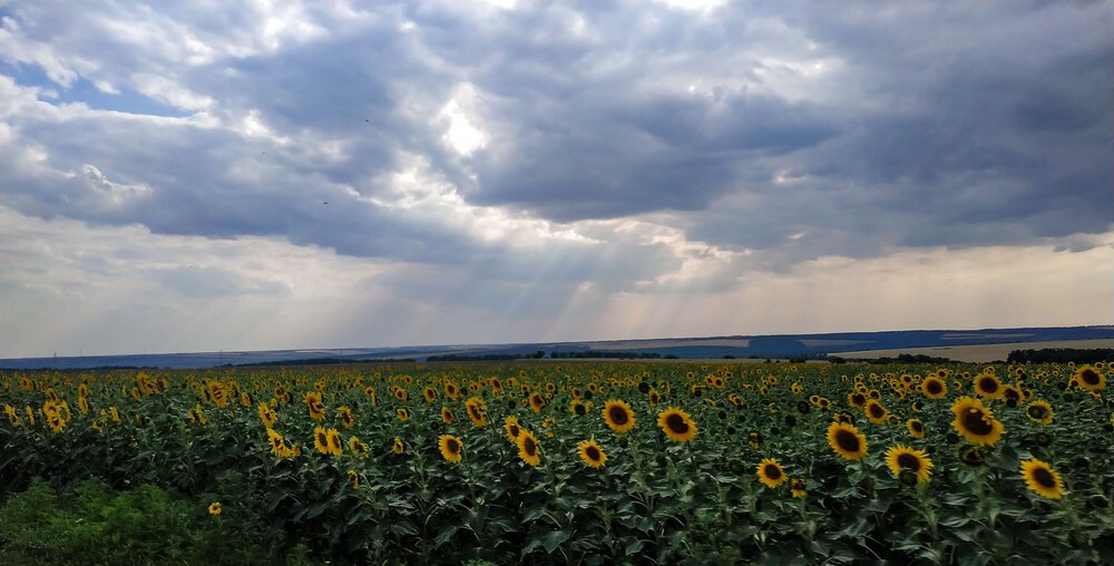 Photograph by Татьяна Ермолаева