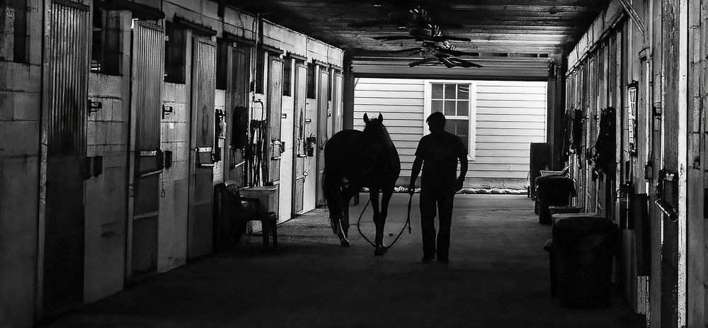 Фотография автора Ray Asiala