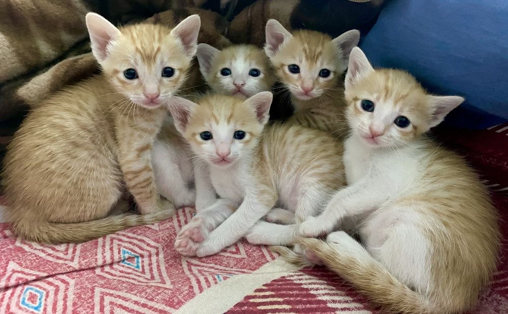 Power of Five ❤️