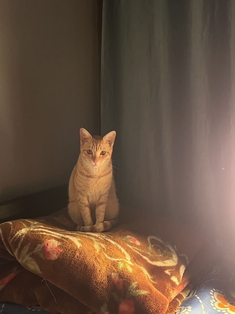 Photograph by Sharma Dr Megha