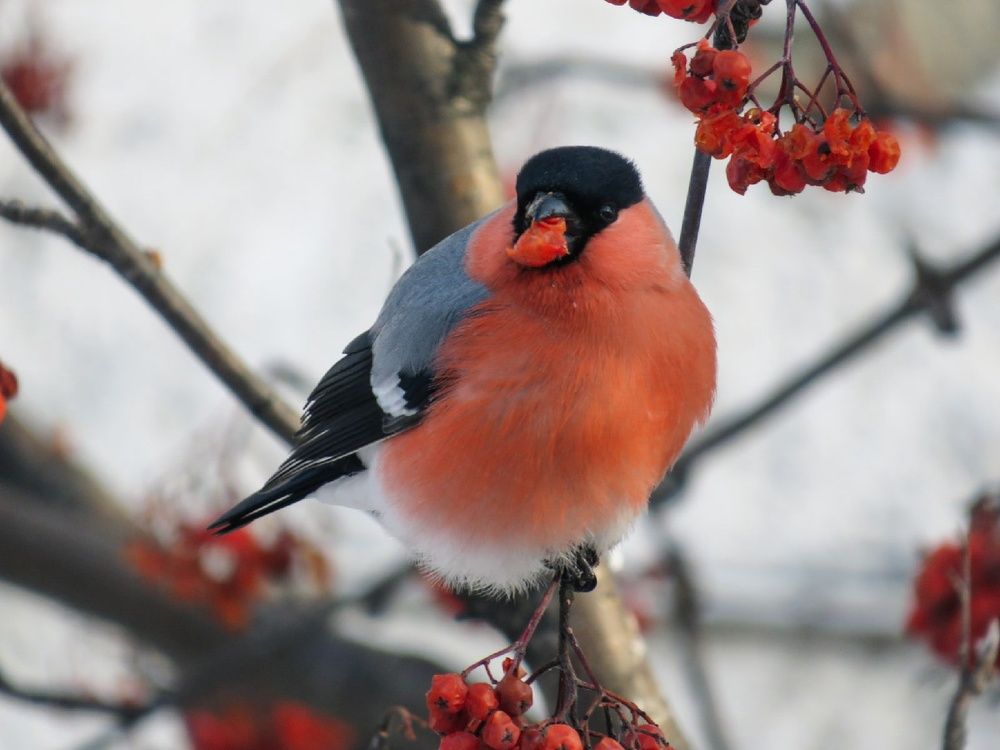 Photograph by Елена Гарипова