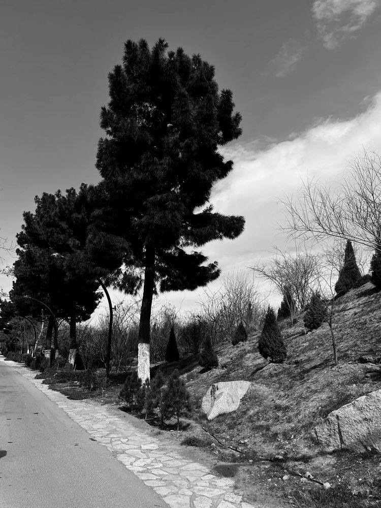 Photograph by alzyadi alaa