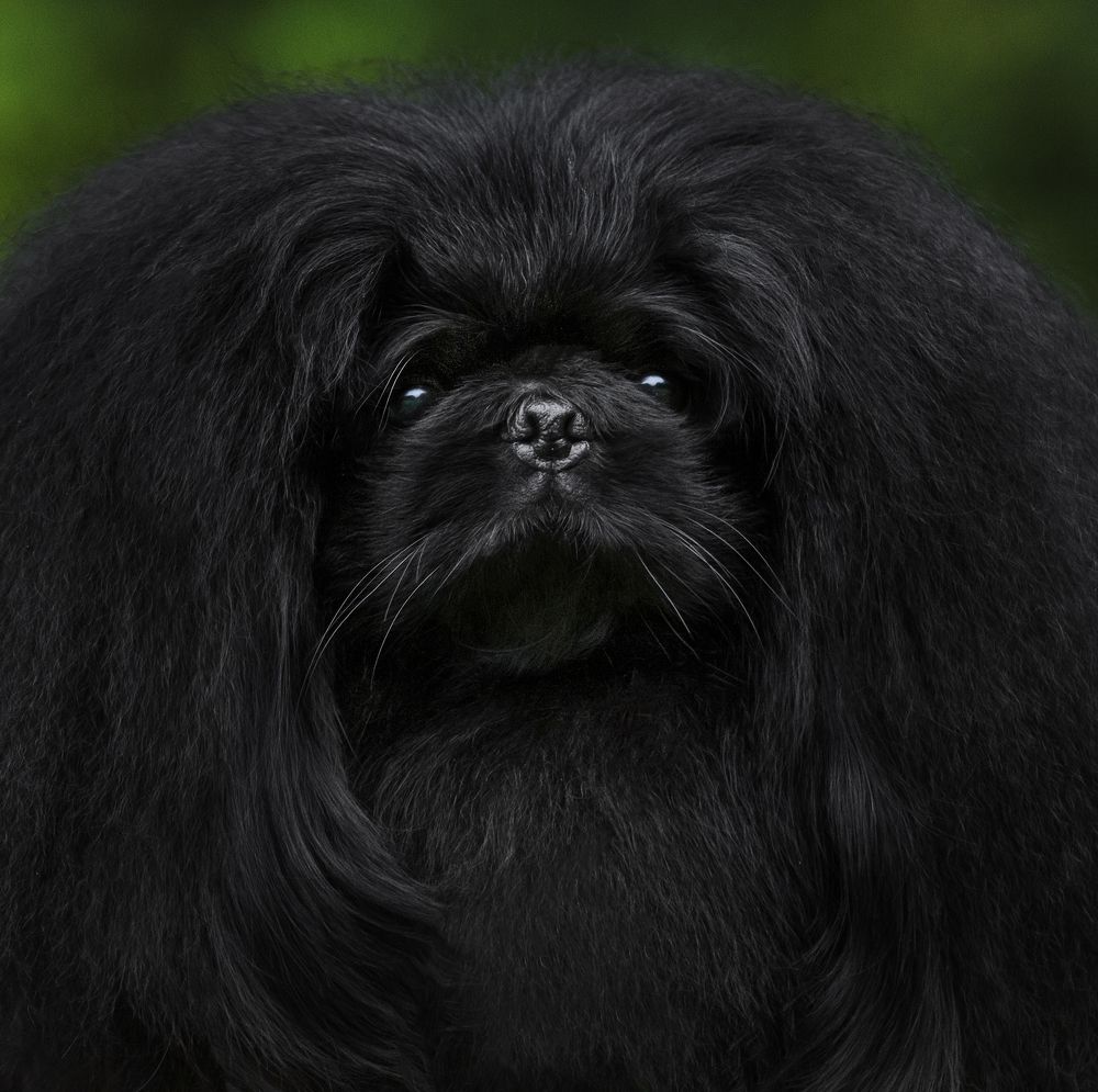 Photograph by Юлия Вербицкая