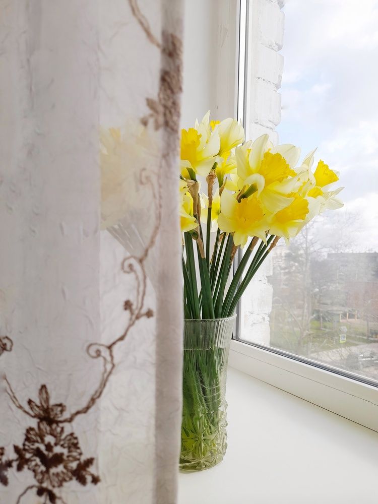 Нарциссы у окна