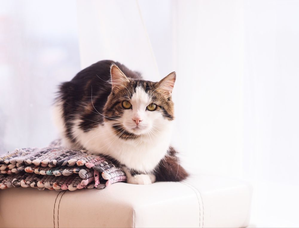 Photograph by Елена Квасова