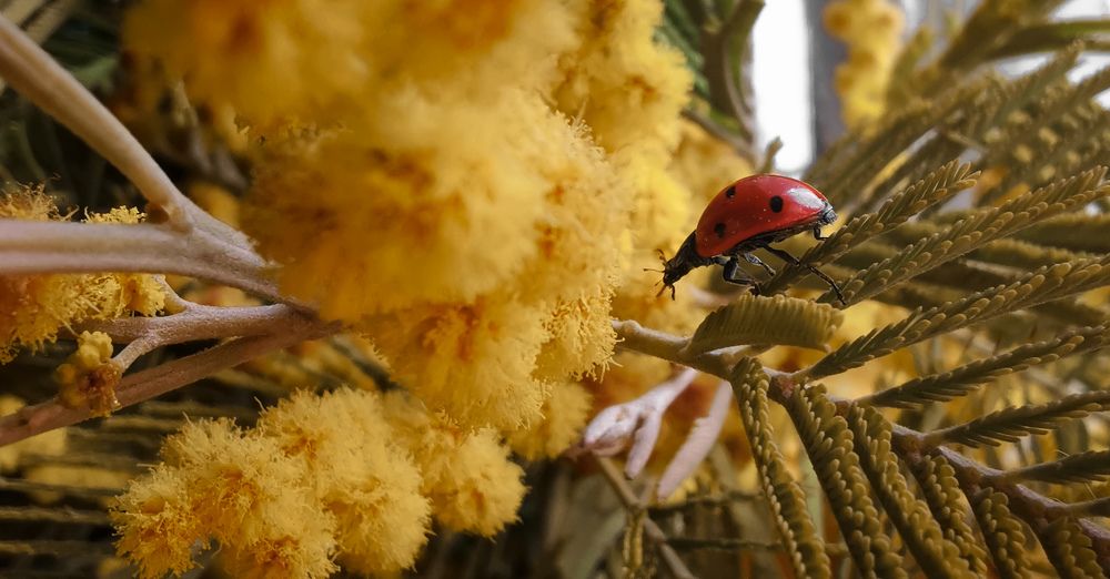 Photograph by Ксения Супрун