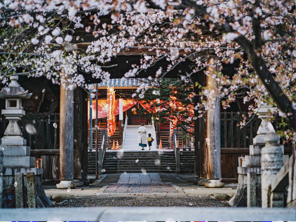 Photograph by Le Tuan Anh