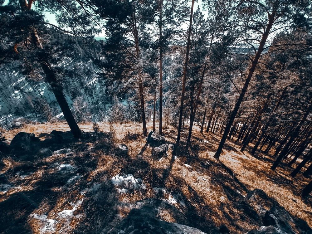 Photograph by Вадим Басов