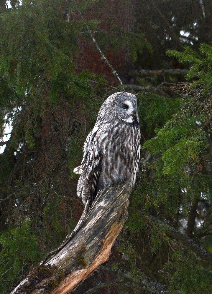 Photograph by Вадим Басов