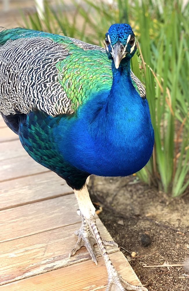 Photograph by Liliana Grup