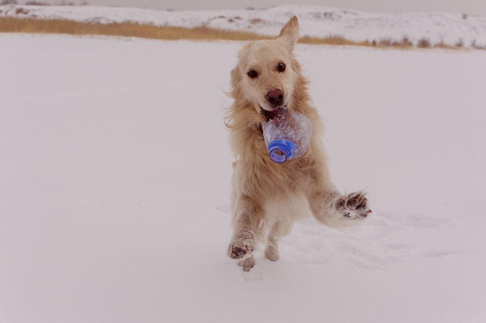 Photograph by Илья Десна