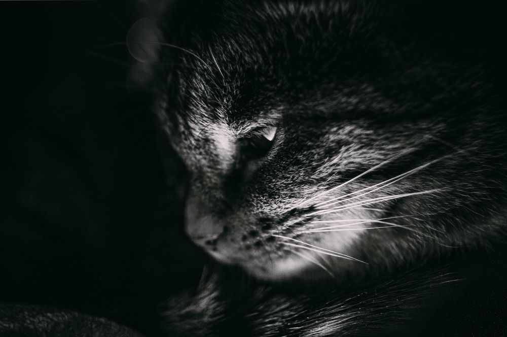 Photograph by Алексей Егоров