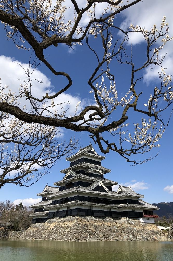 Photograph by Trinh Le