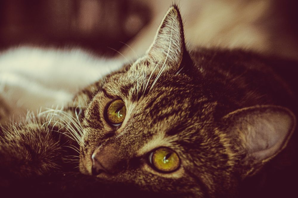 Photograph by Алексей Егоров