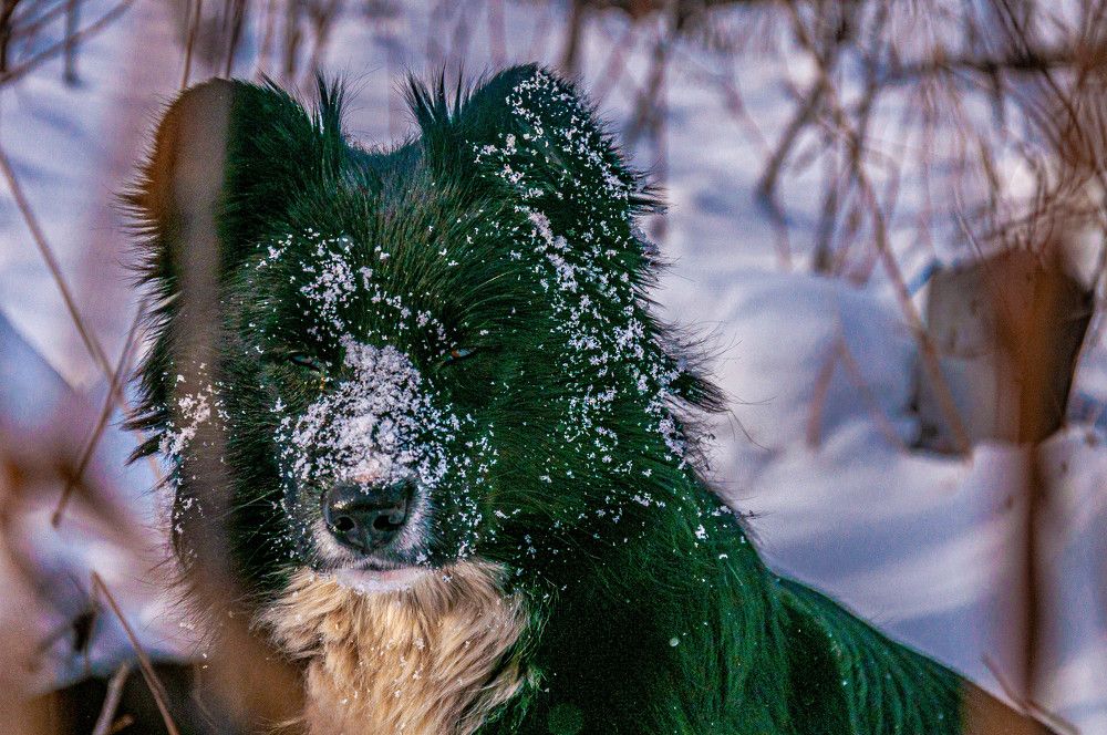 Photograph by Алексей Егоров