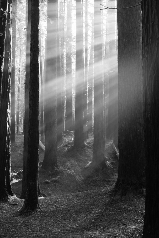 Photograph by Trinh Le