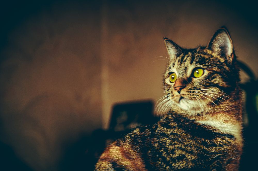 Photograph by Алексей Егоров