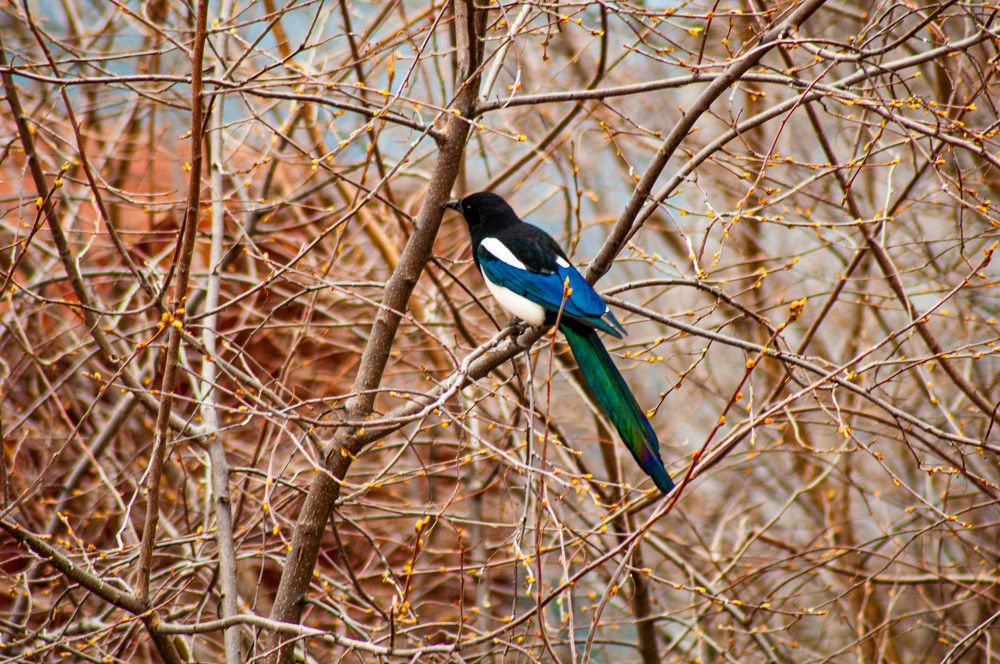 Photograph by Алексей Егоров