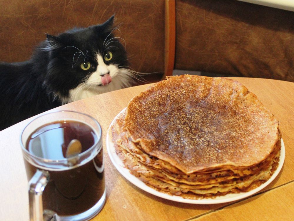 Коржик у тёщи на блинах