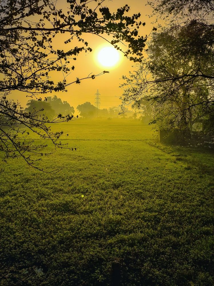 Фотография автора Ramprasad Das