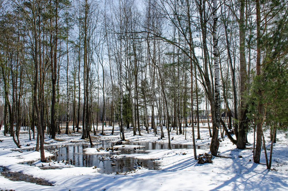 Photograph by Михаил