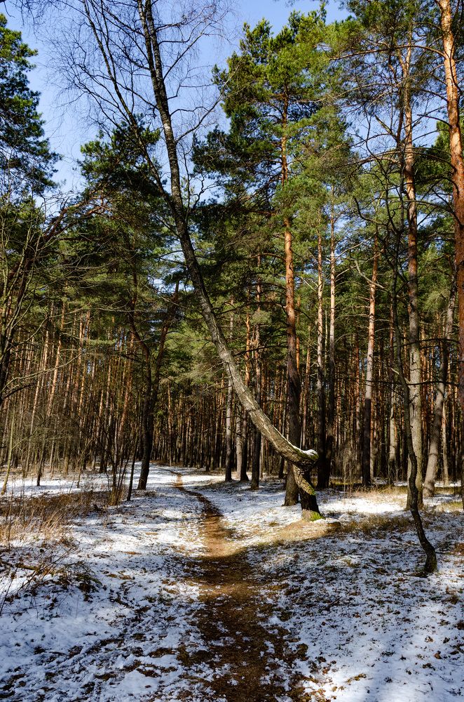 Photograph by Михаил