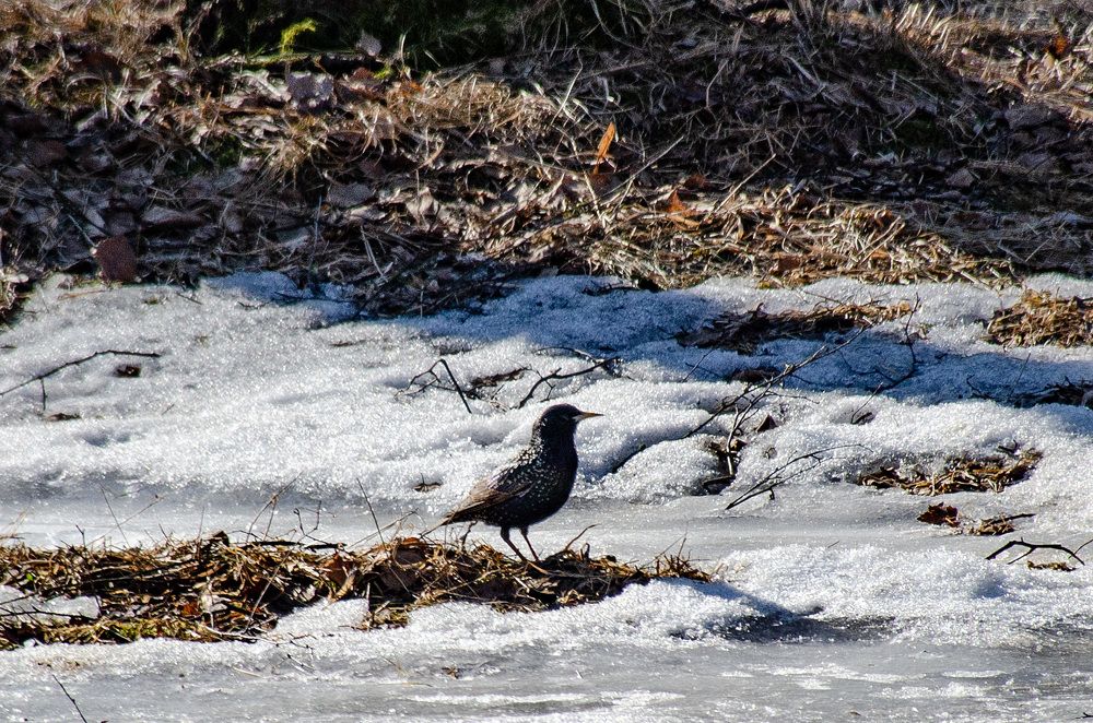 Photograph by Михаил