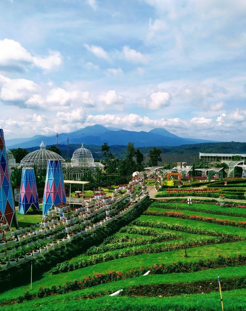 Photograph by mizumishinoda shinoda